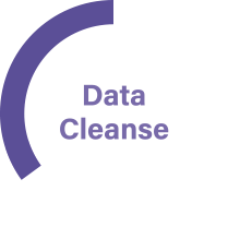 Data Cleanse - Indigo Swan