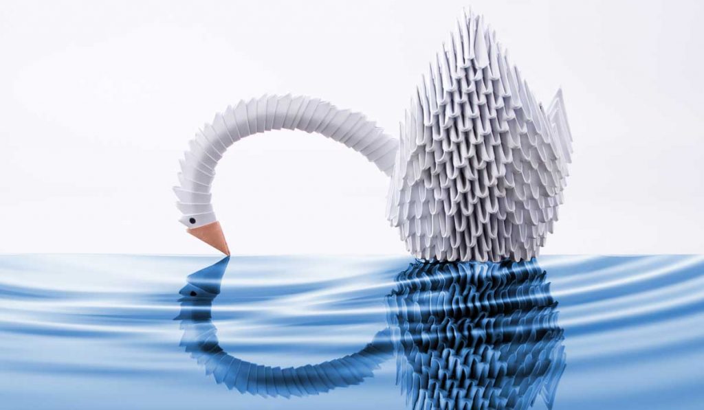 Paper swan on water