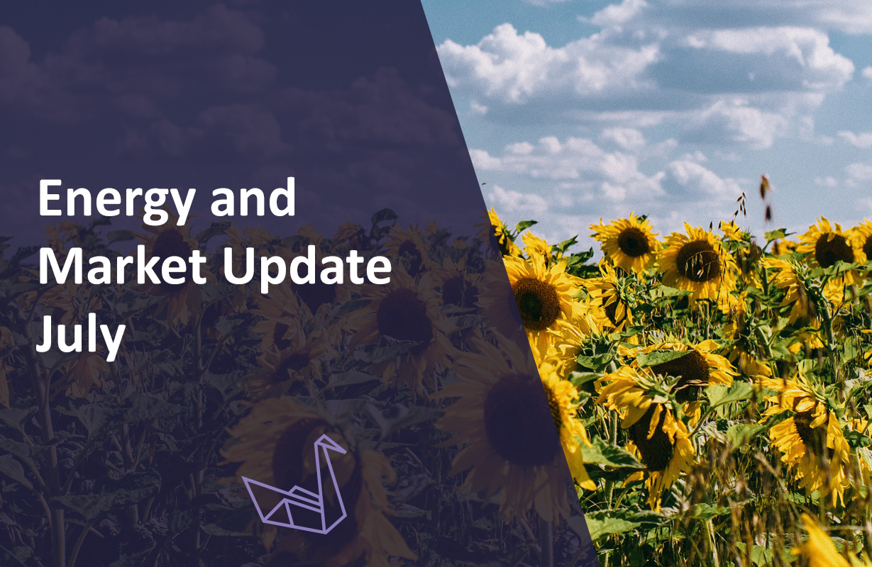Energy & Market Update – July