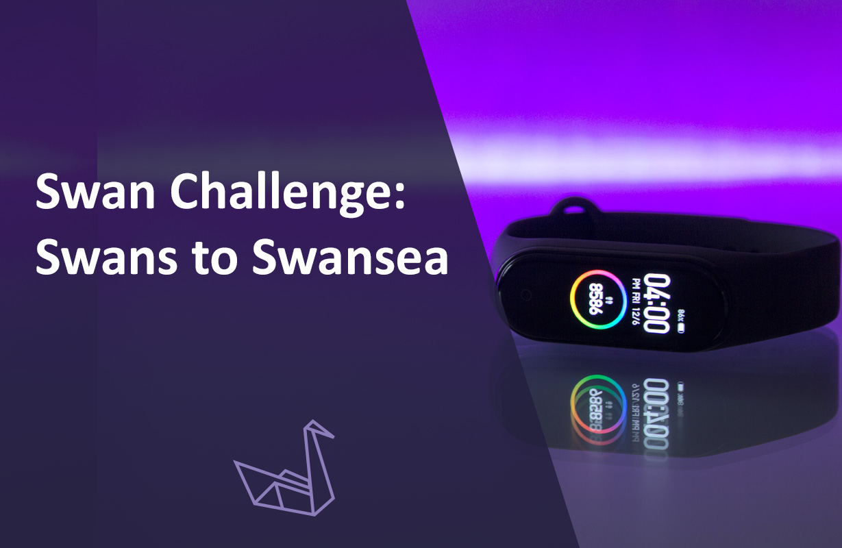 Swans to Swansea