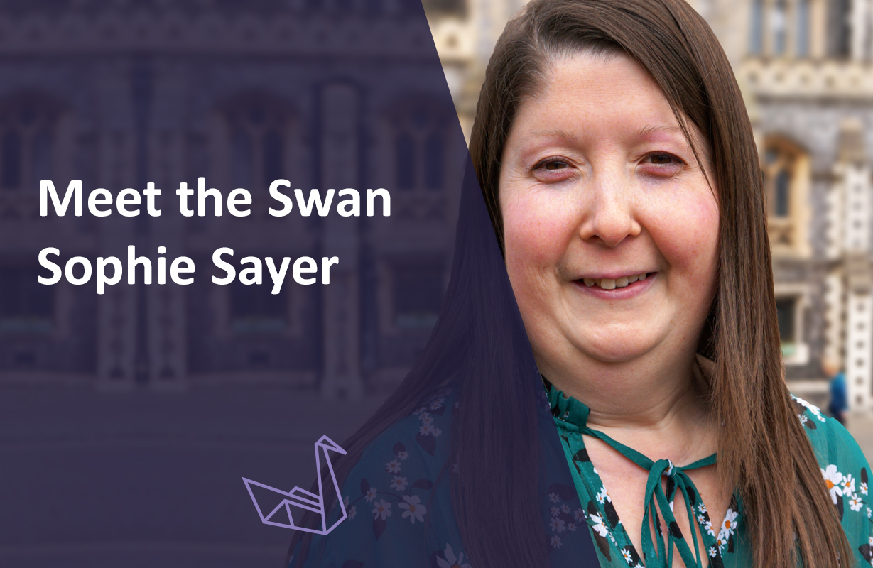 Meet the Swan – Sophie