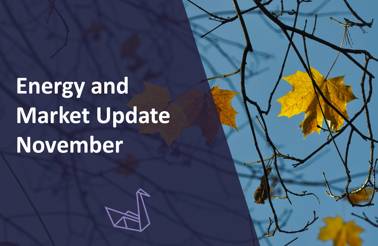 Energy & Market Update – November