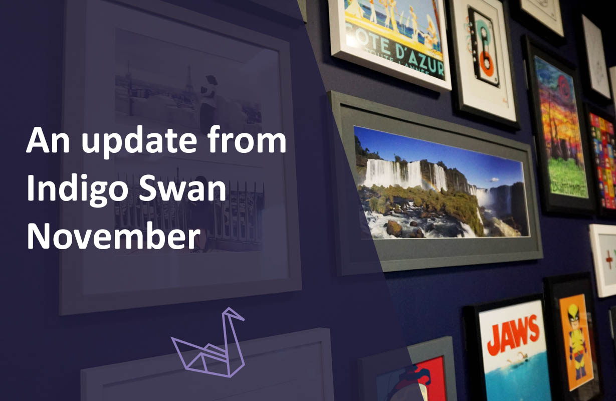 An update from Indigo Swan: November