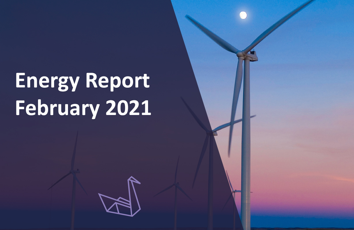 Energy Report February 2021