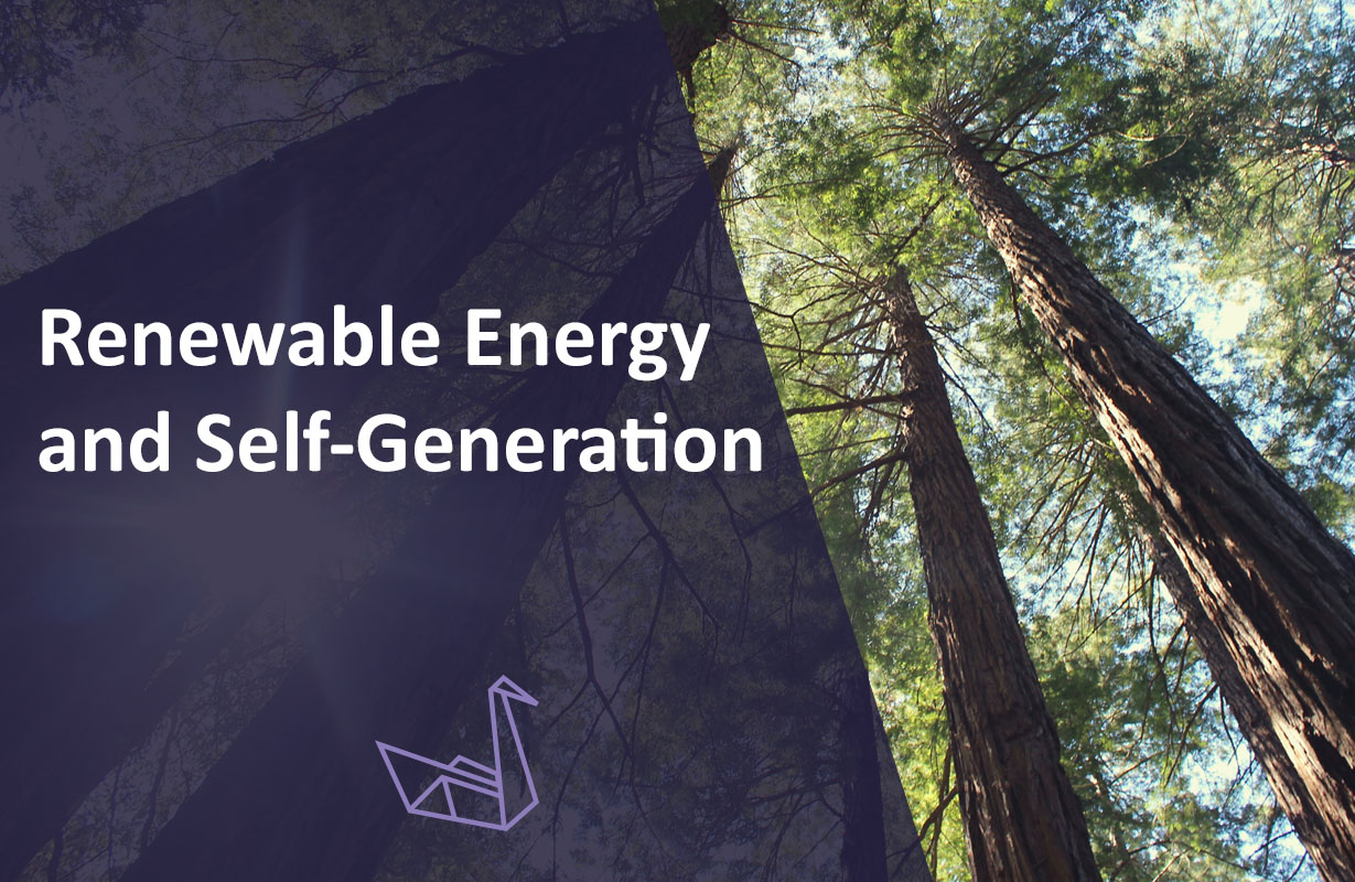 Renewable Energy & Self-Generation