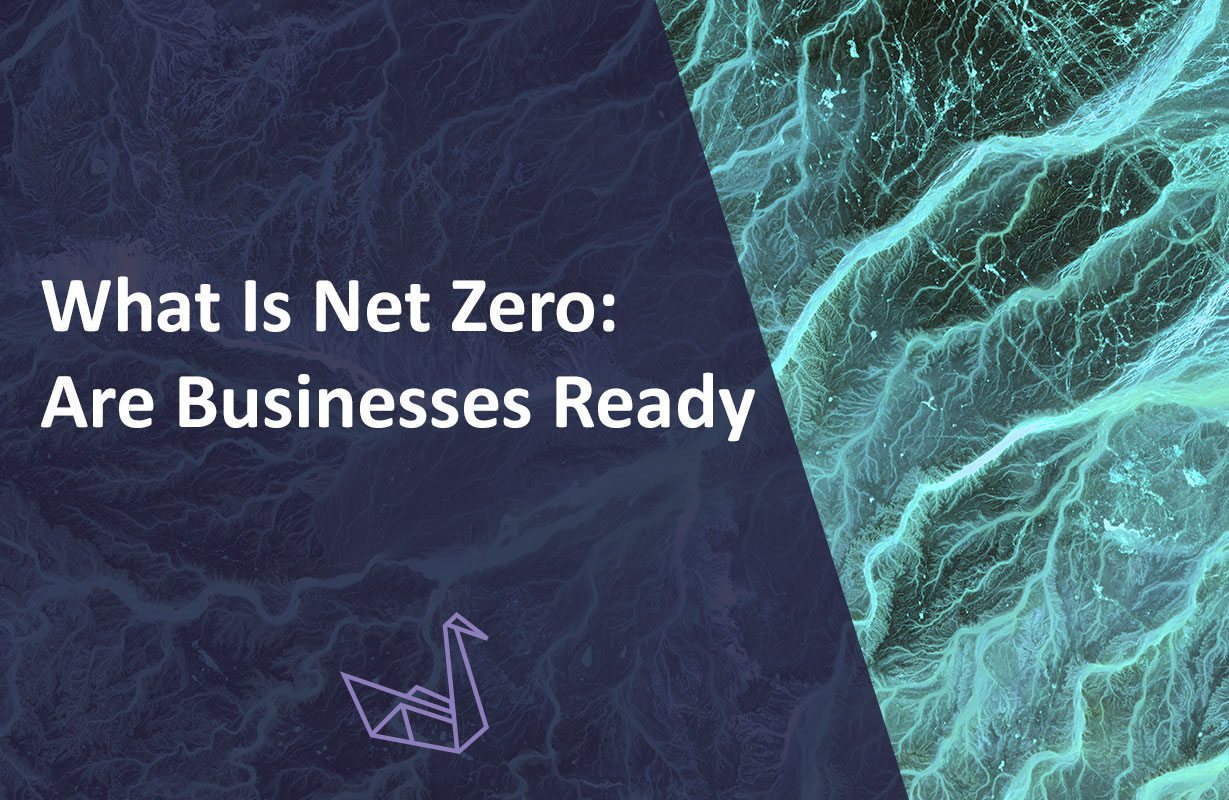 What Is Net Zero & Are Businesses Ready?
