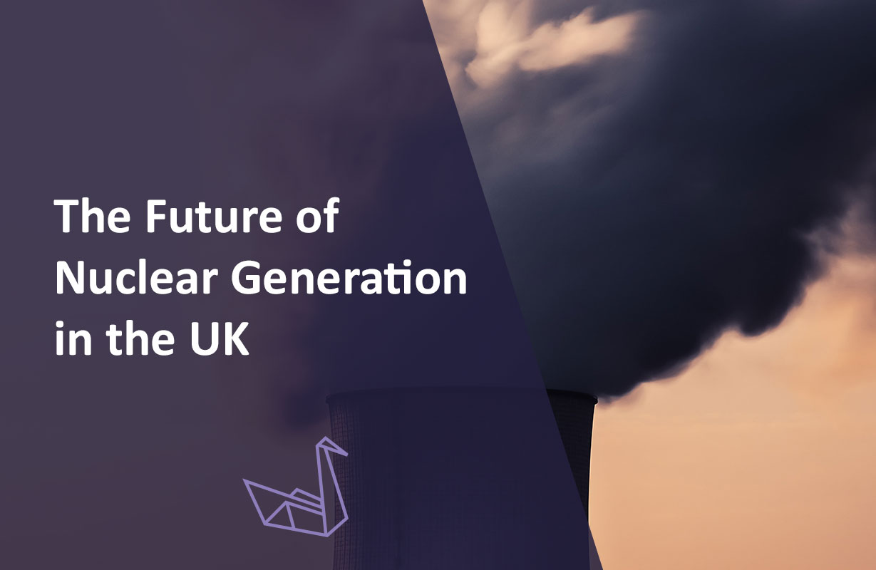 The Future of Nuclear Generation in the UK