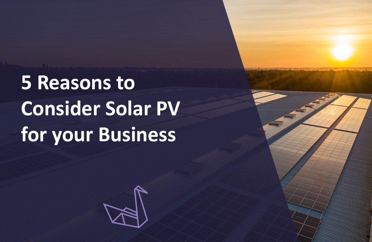 5 Reasons to Consider Solar PV for your Business