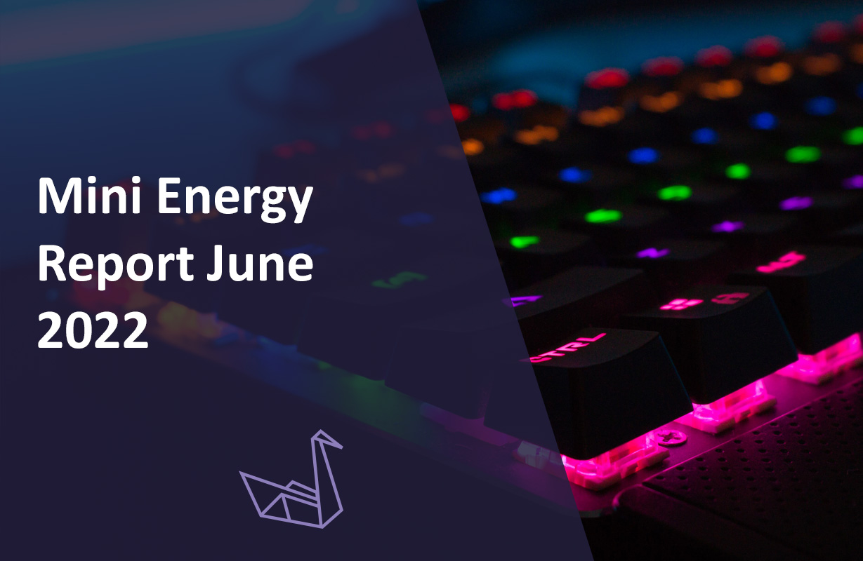 Mini Energy Report June 2022