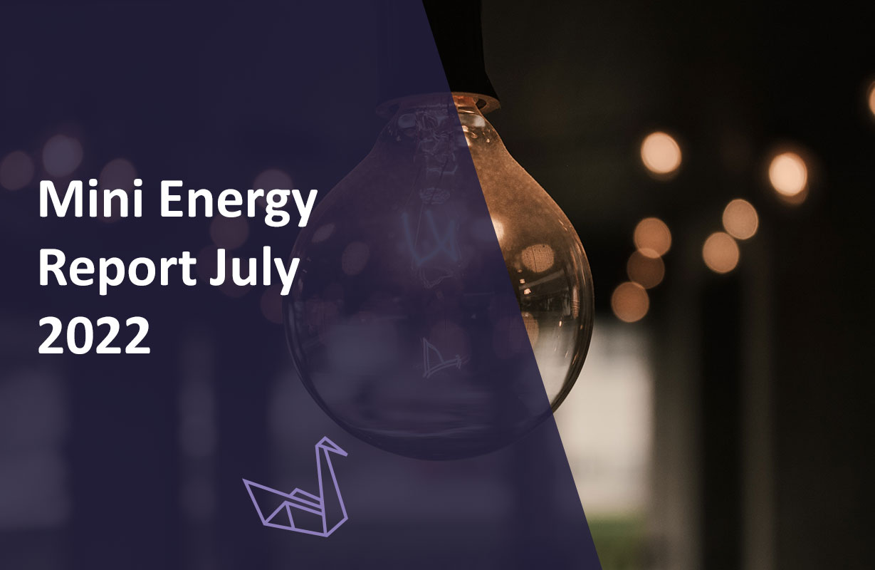 Mini Energy Report July 2022