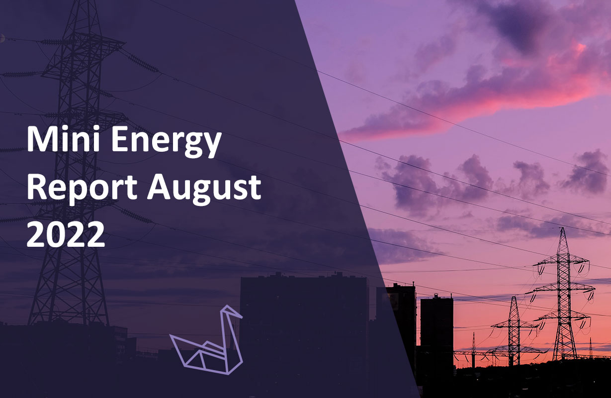 Mini Energy Report August 2022