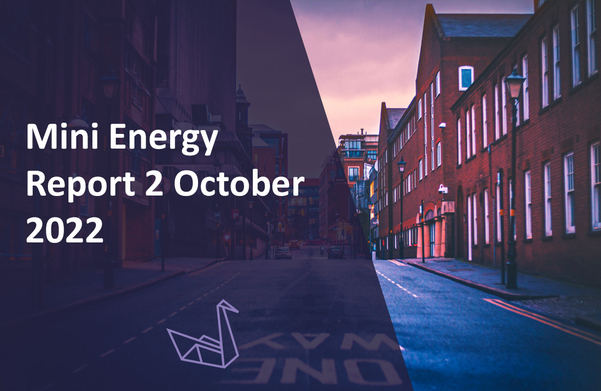 Mini Energy Report 25th October 2022