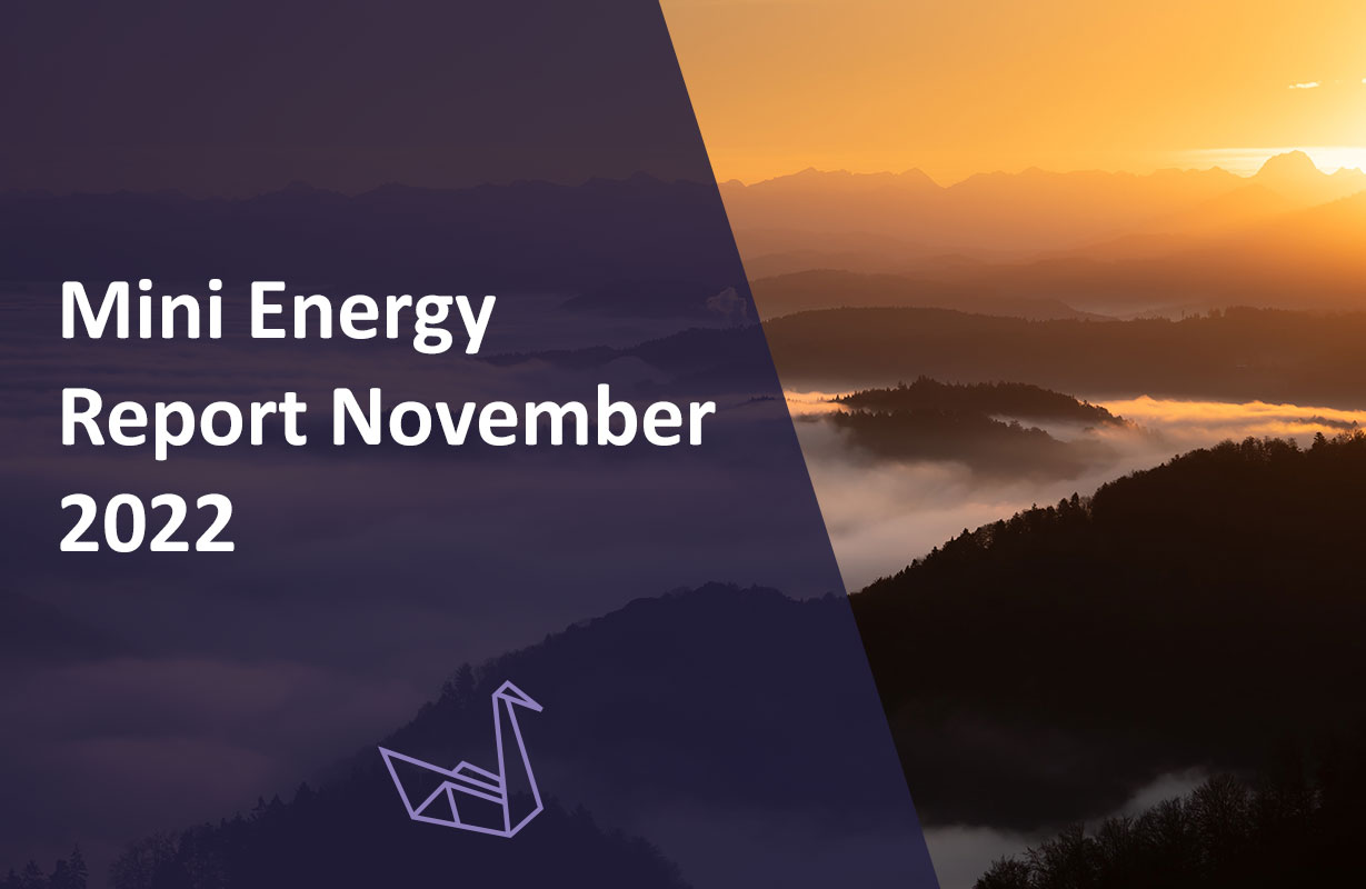 Mini Energy Report 22nd November 2022