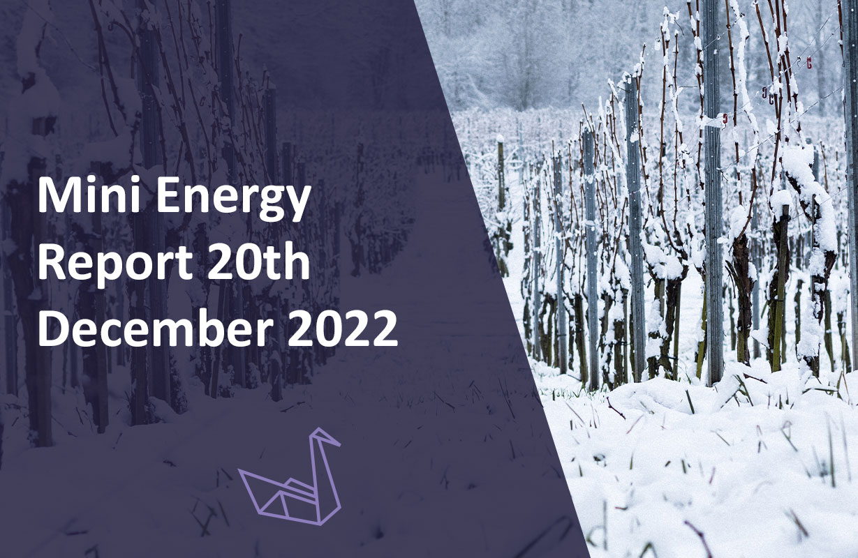 Mini Energy Report 20th December 2022