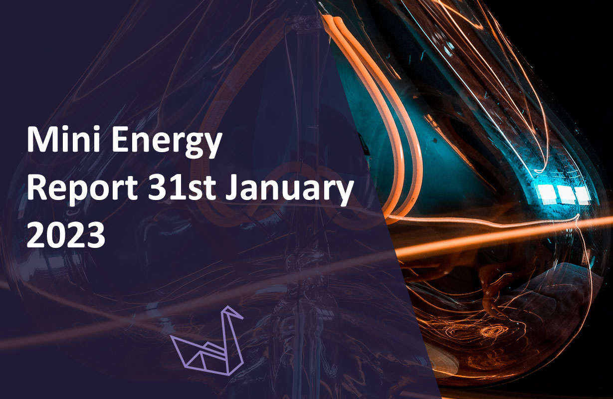 Mini Energy Report 31st January 2023