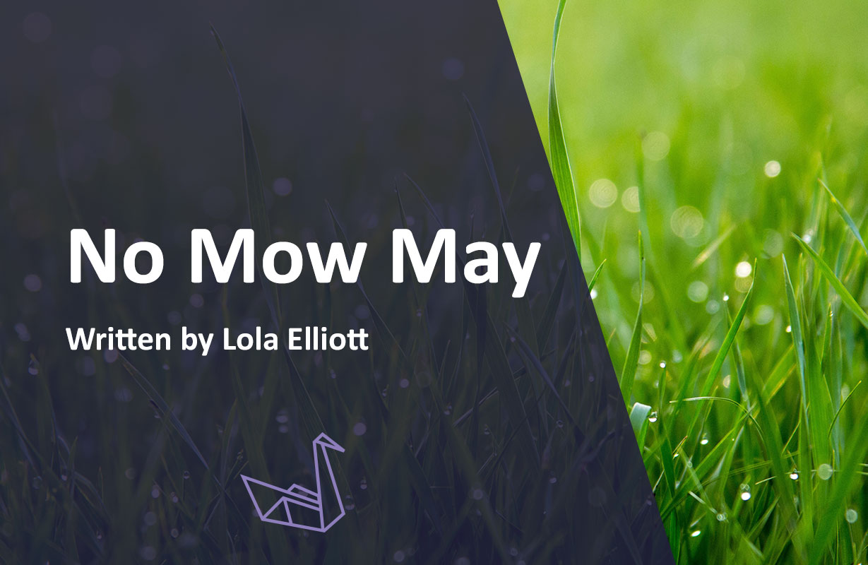 No Mow May