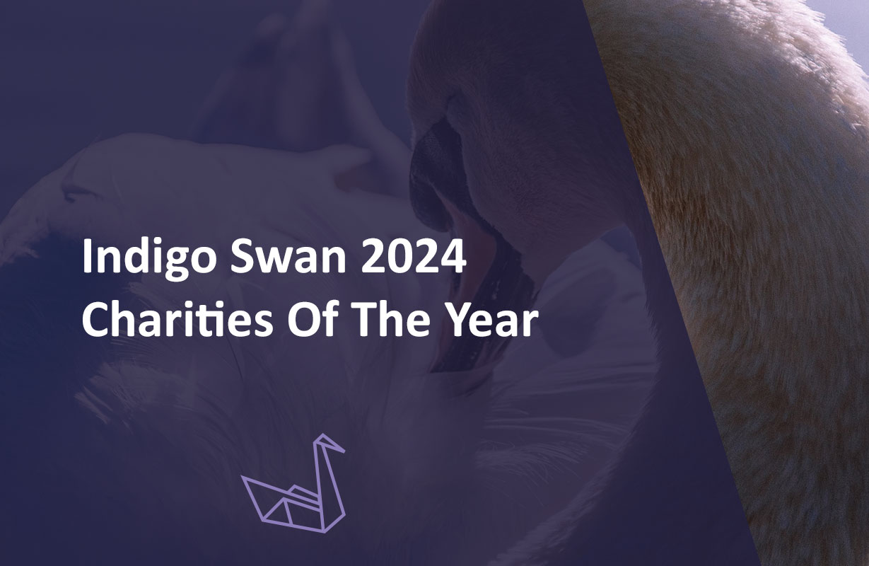 Indigo Swan 2024 Charities Announced