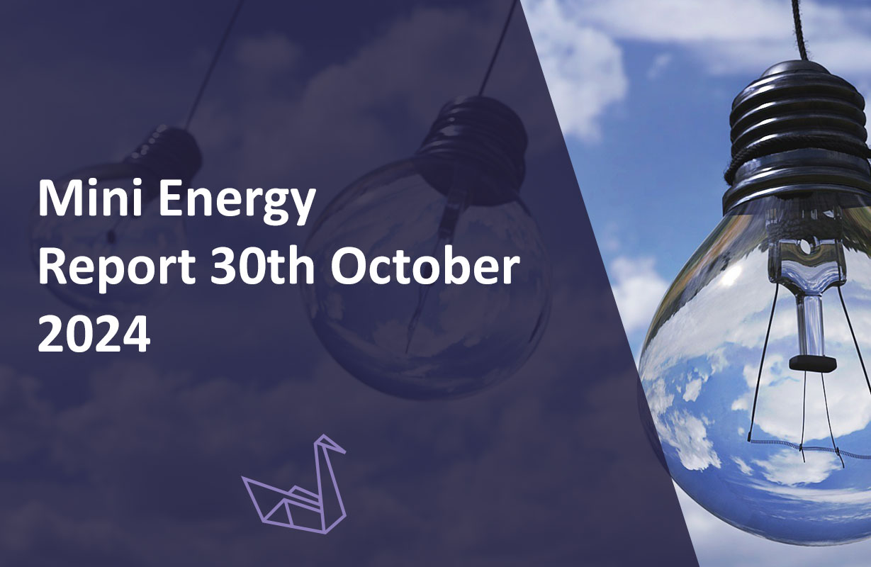 Mini Energy Report 30th October 2024