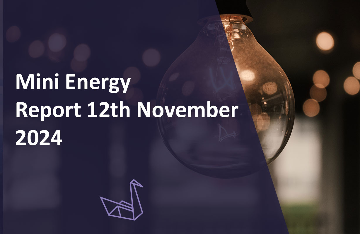 Mini Energy Report 12th November 2024