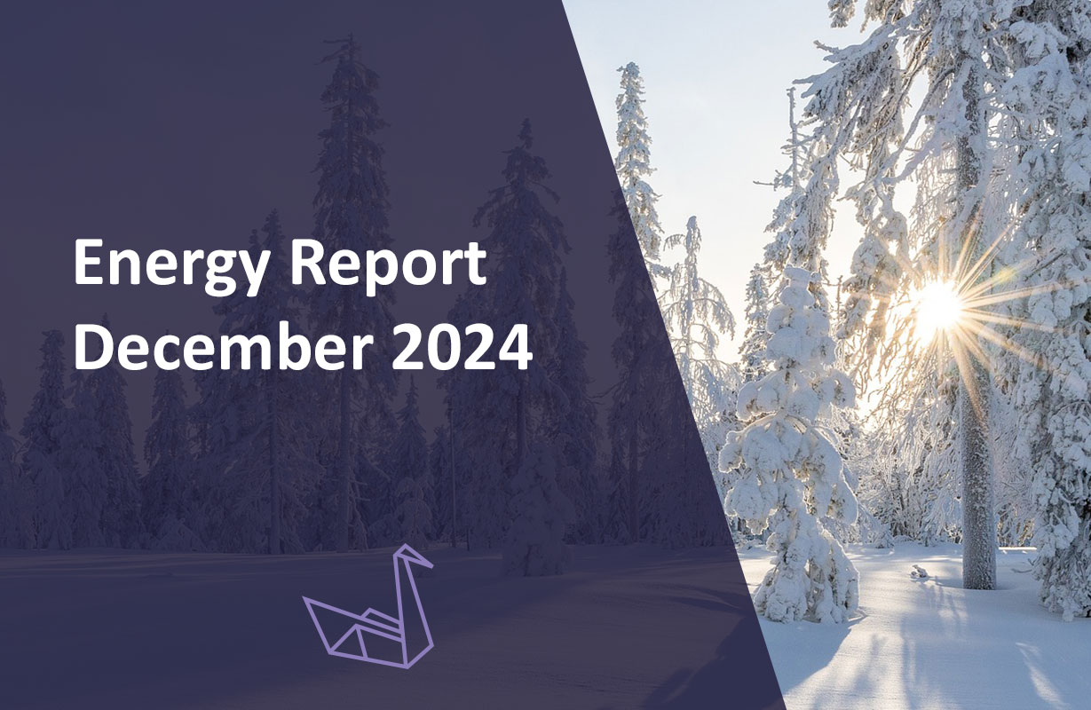 Energy Report December 2024