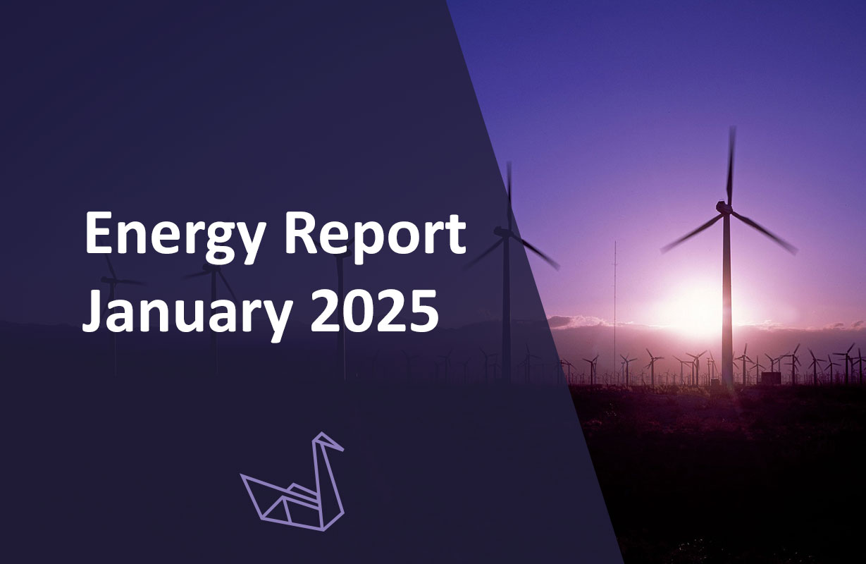 Energy Report January 2025