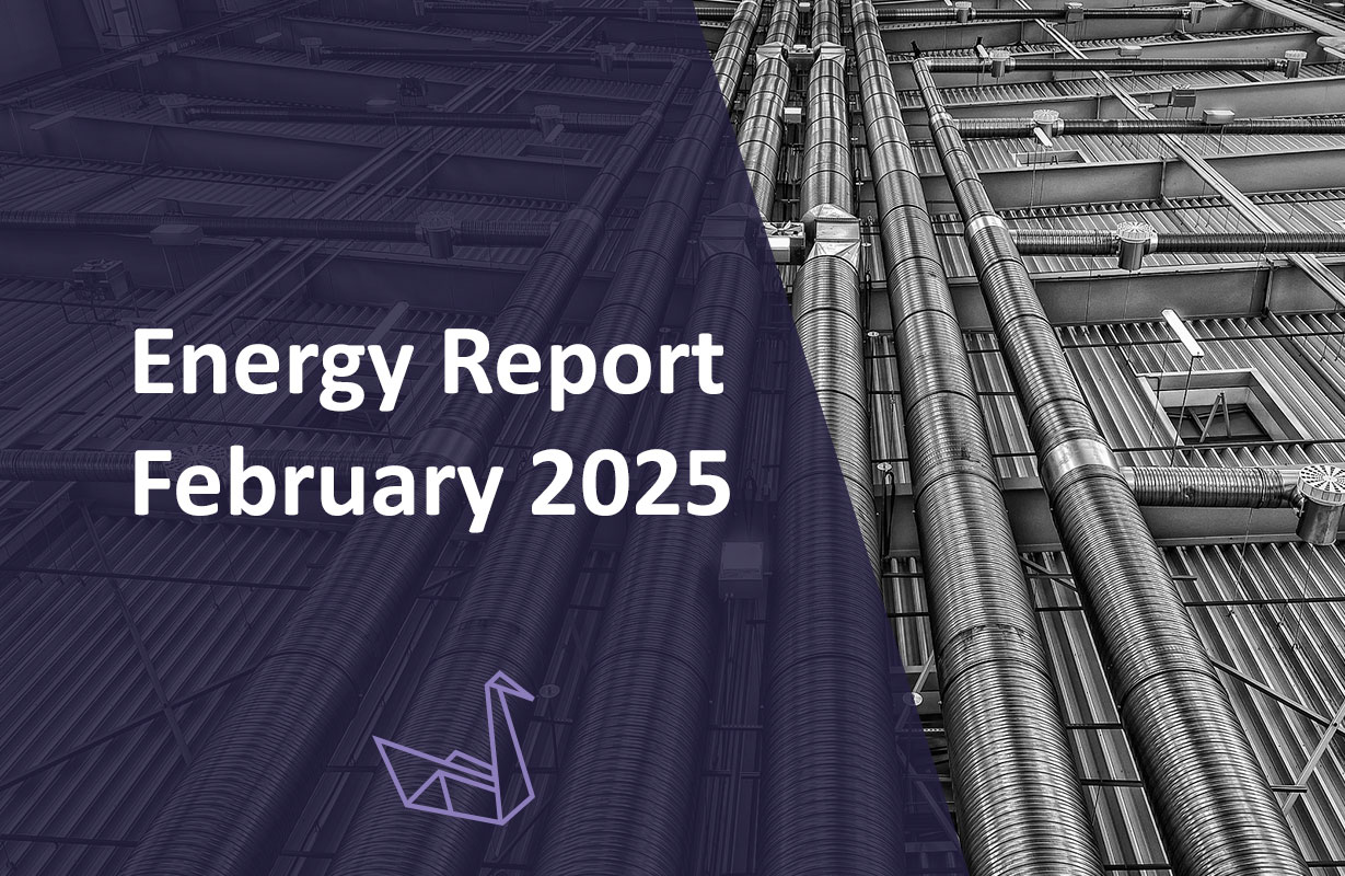 Energy Report February 2025