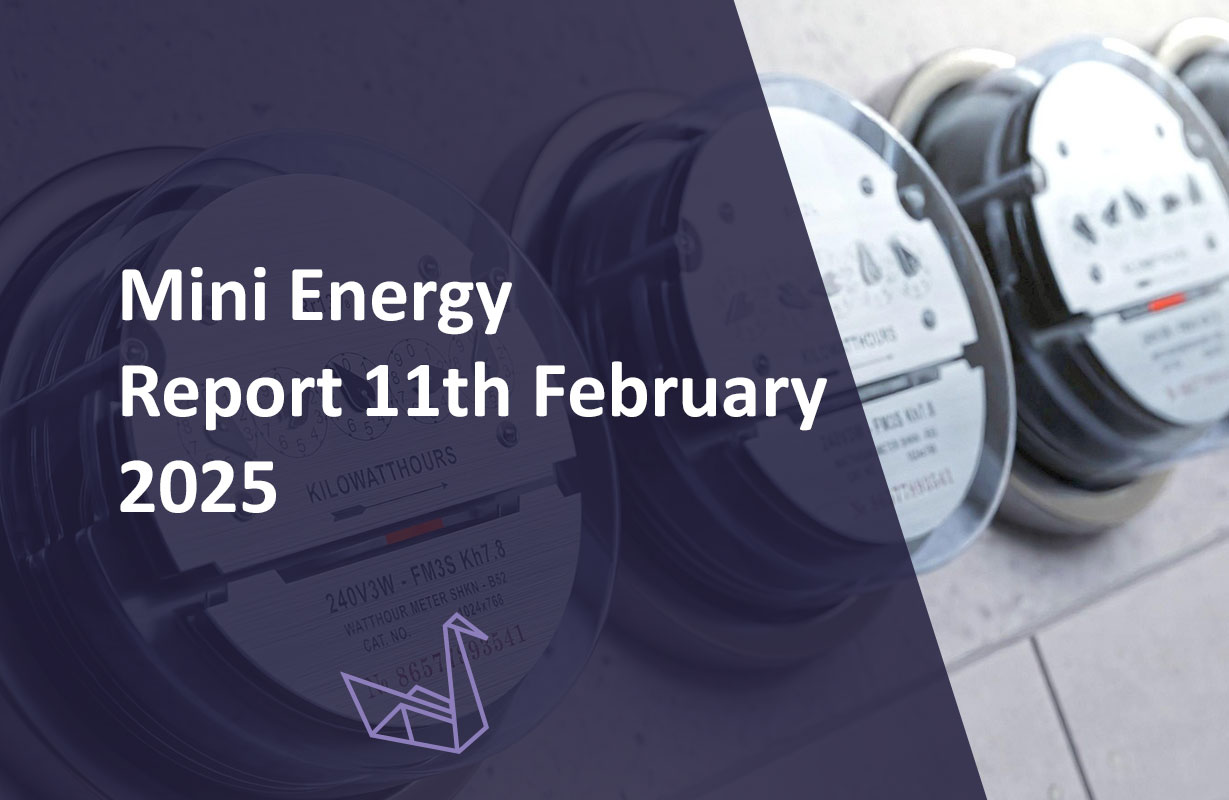 Mini Energy Report 11th February 2025