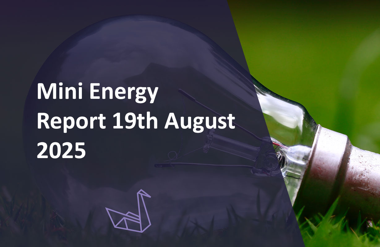 Mini Energy Report 19th August 2025