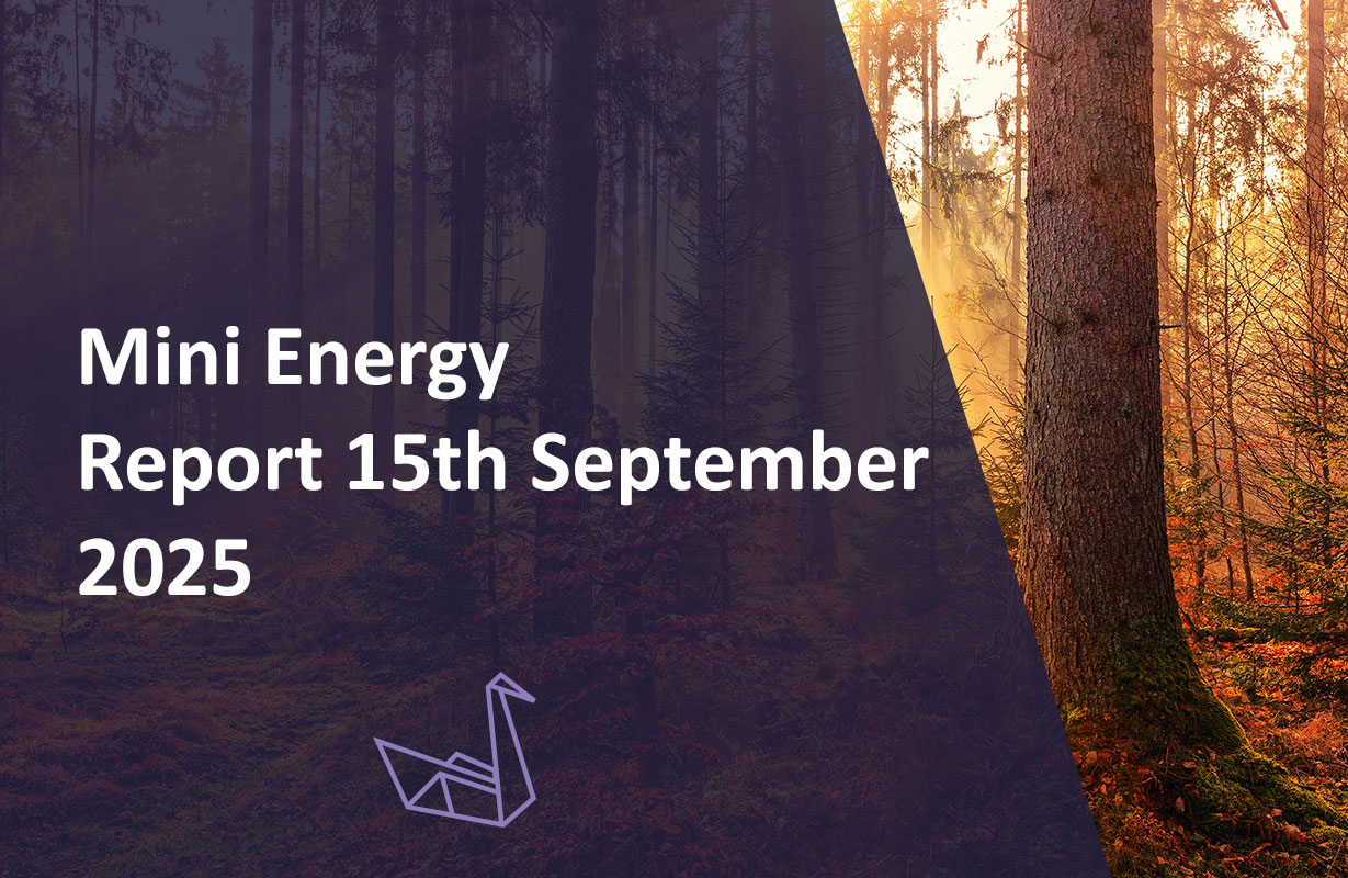 Mini Energy Report 15th September 2025