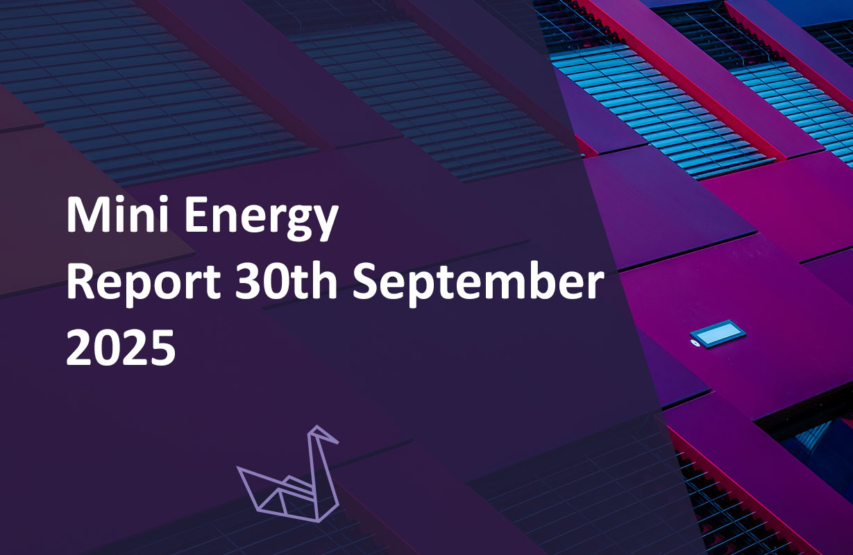 Mini Energy Report 30th September 2025