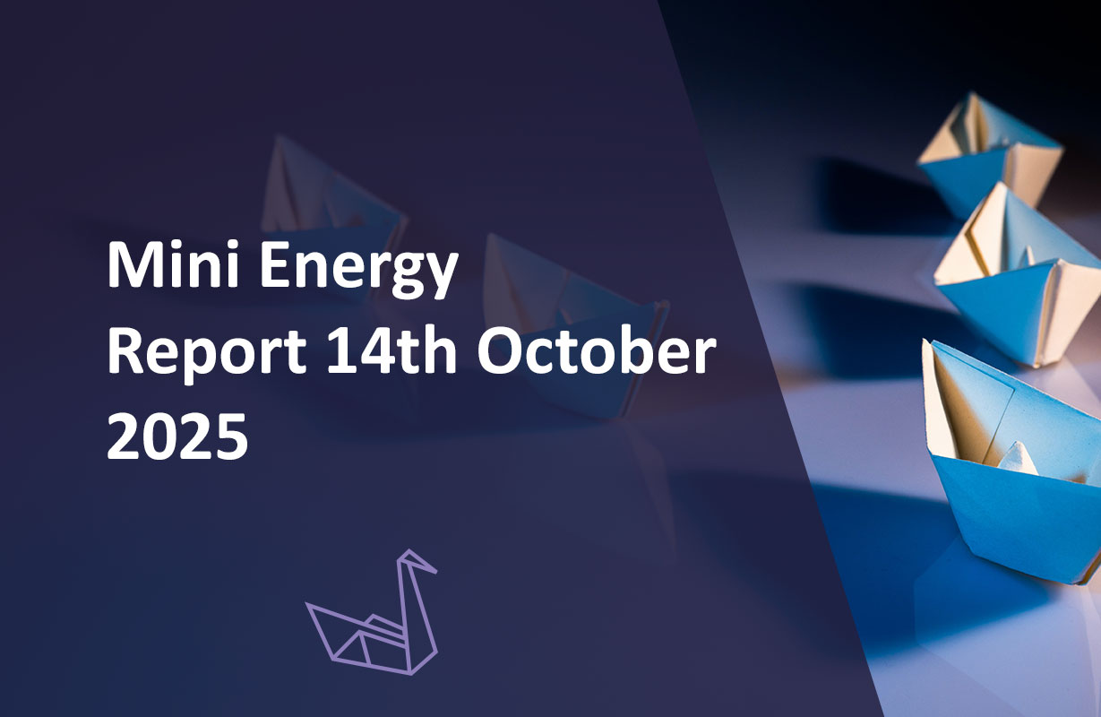 Mini Energy Report 14th October 2025