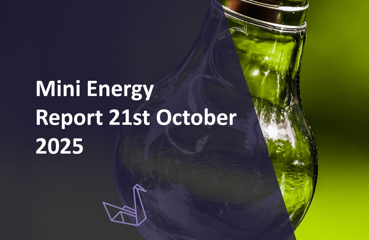 Mini Energy Report 21st October 2025