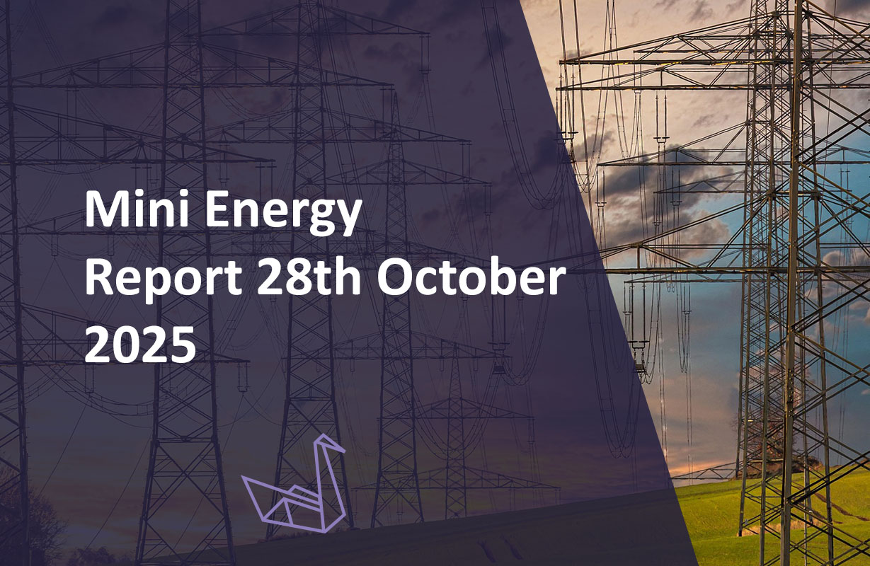 Mini Energy Report 28th October 2025