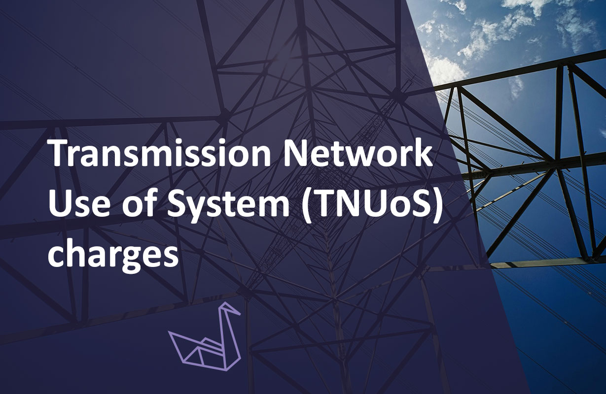 Transmission Network Use of System (TNUoS) charges. October 2025
