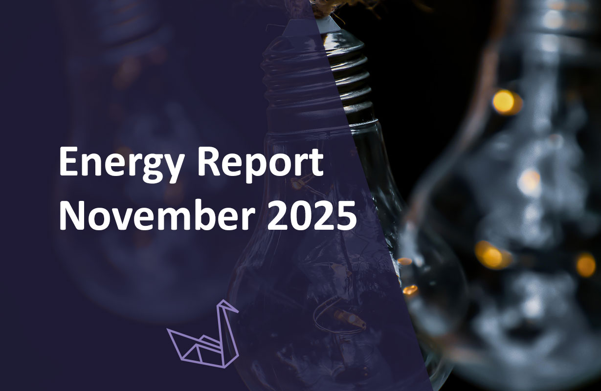 Energy Report November 2025