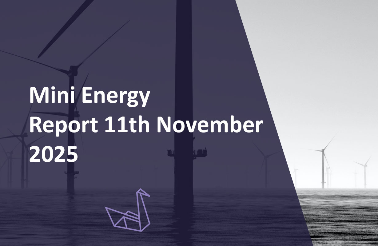 Mini Energy Report 11th November 2025