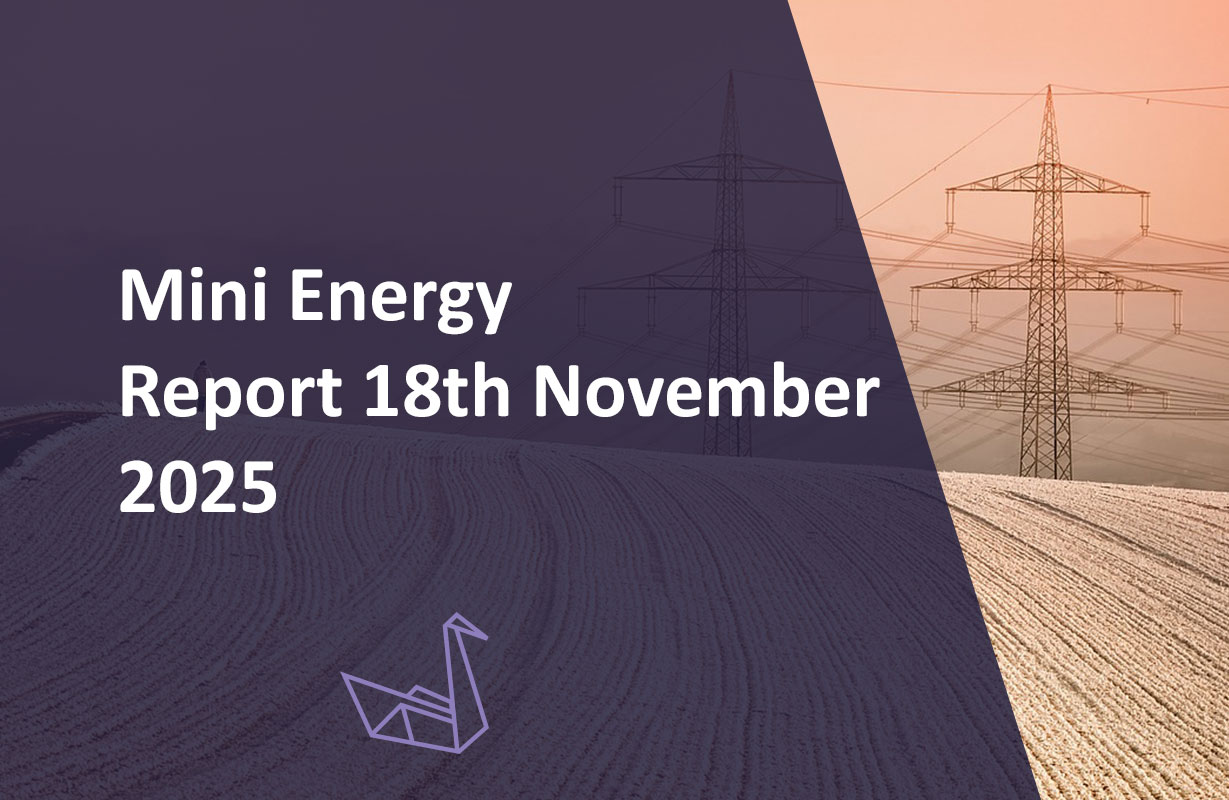 Mini Energy Report 18th November 2025