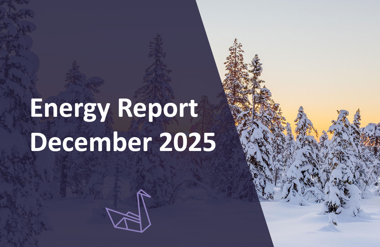 Energy Report December 2025