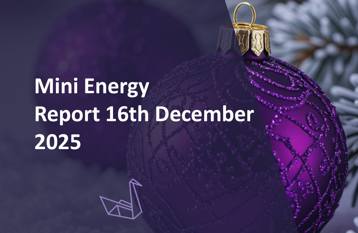 Mini Energy Report 16th December 2025