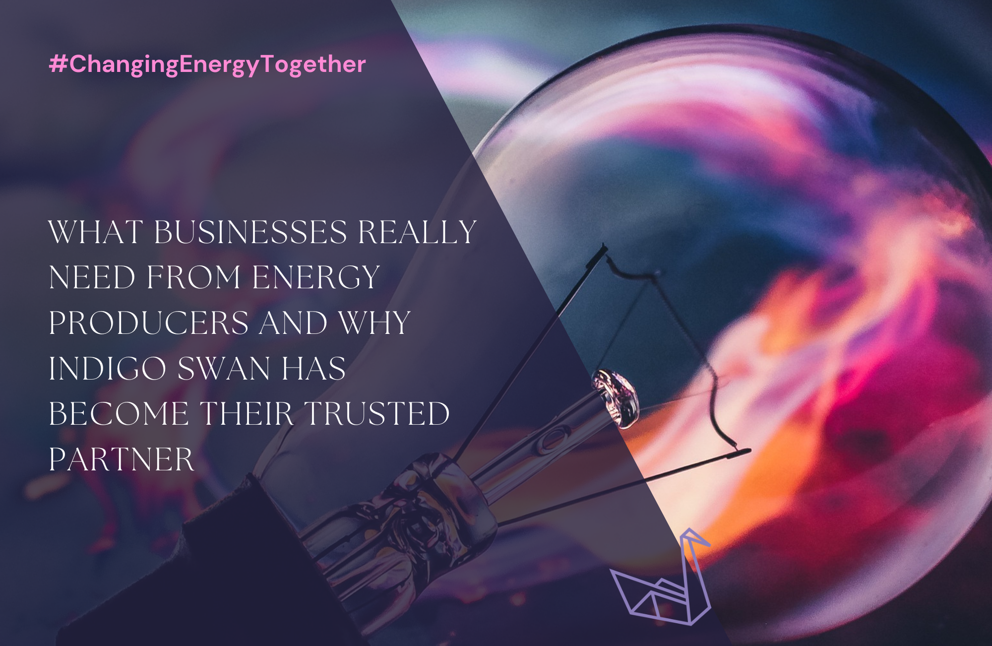 What Businesses Really Need From Energy Producers And Why Indigo Swan Has Become Their Trusted Partner
