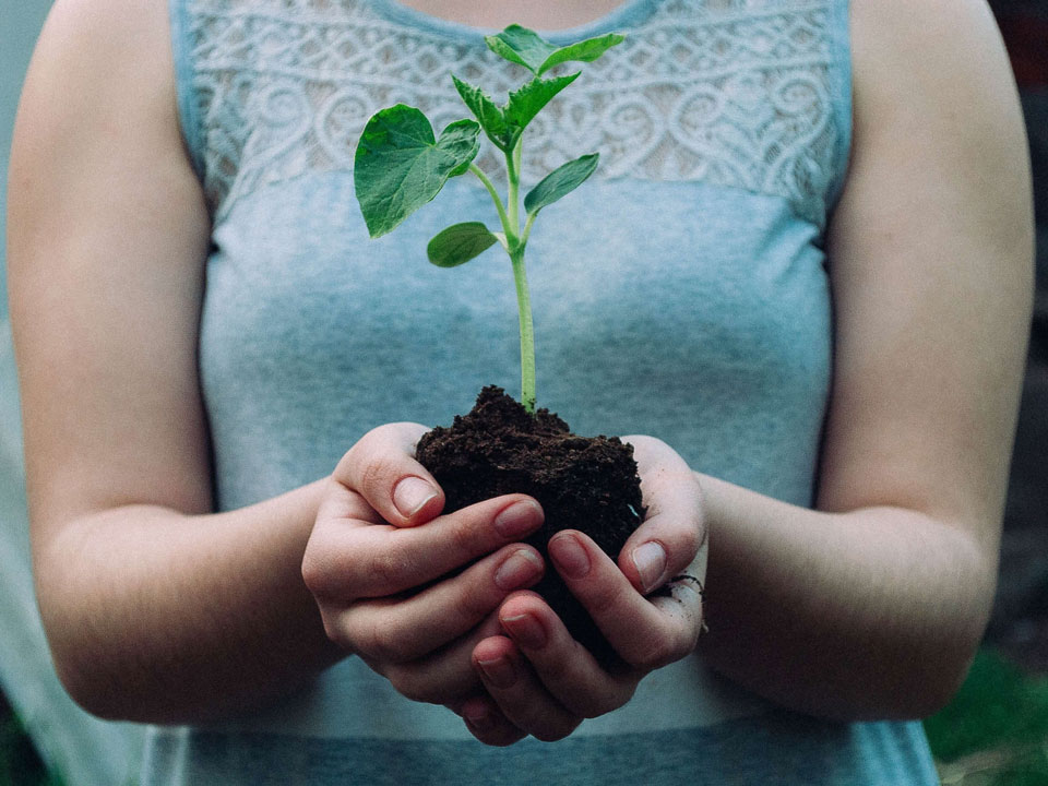 learning to be resilient